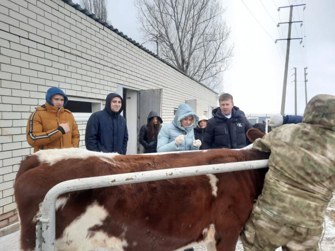 Лабораторное занятие на тему: «Биологические препараты, их классификация, правила транспортировки, хранения и оценка перед практическим применением» 